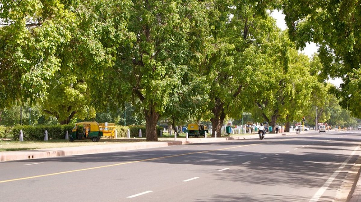 Panch Gaurav Pali Neem