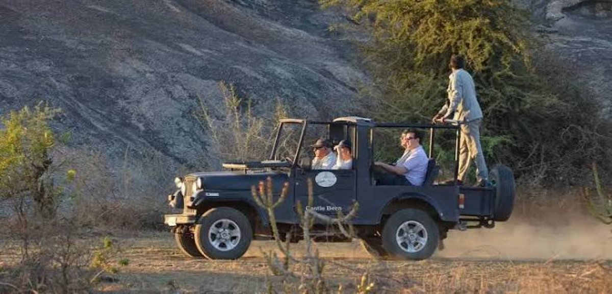 Jawai Bandh Pali Wilflife Leopard Safari