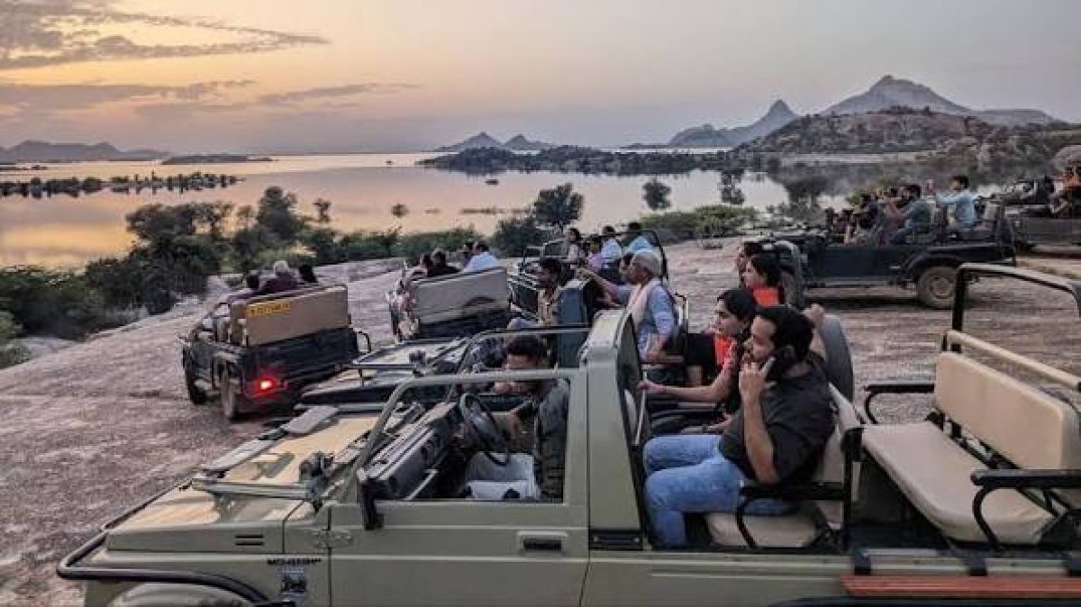 Jawai Bandh Pali Wilflife Leopard Safari